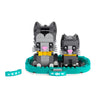 Lego- Shorthair Cats