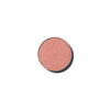Anastasia Beverly Hills- Eyeshadow Singles - BALLET - METALLIC | Seashell Pink