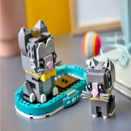 Lego- Shorthair Cats
