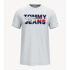 Tommy Hilfiger- Colorblock Logo T-Shirt