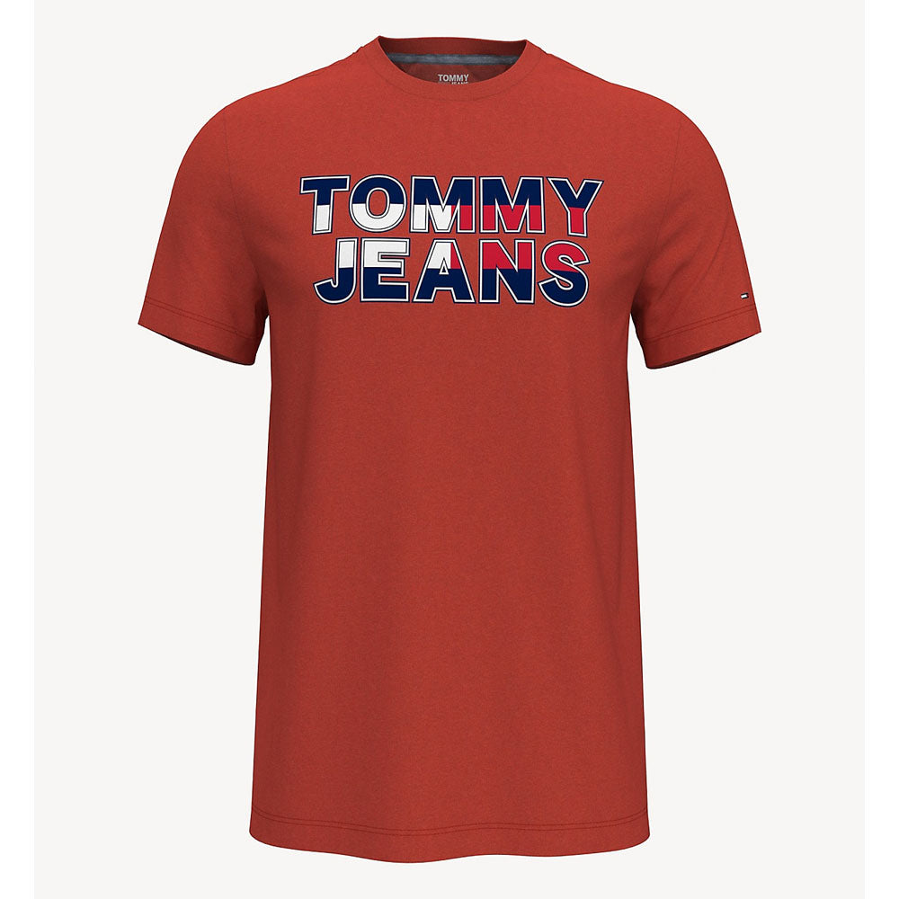 Tommy Hilfiger- Colorblock Logo T-Shirt