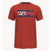 Tommy Hilfiger- Colorblock Logo T-Shirt