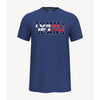 Tommy Hilfiger- Colorblock Logo T-Shirt